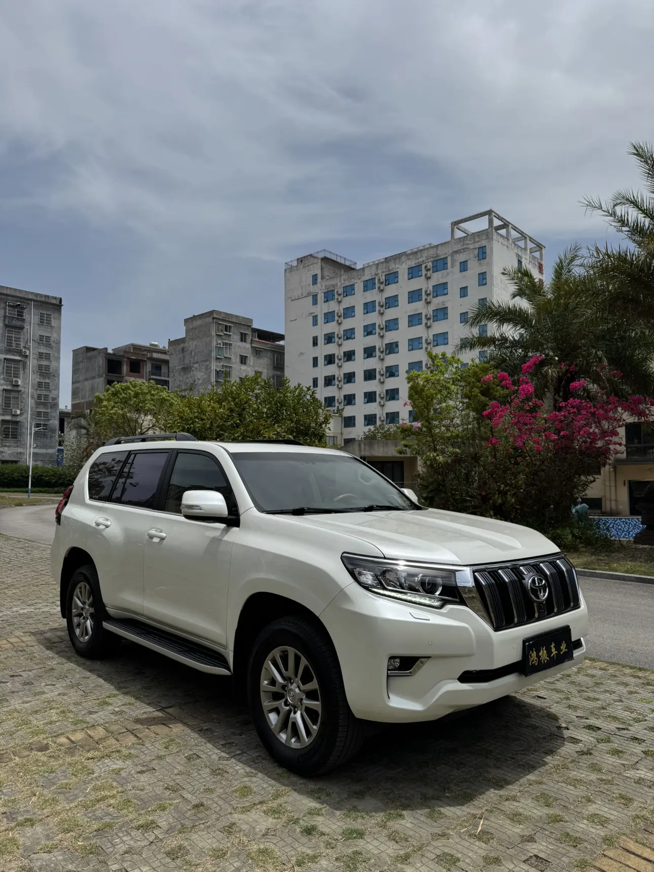 Toyota Prado