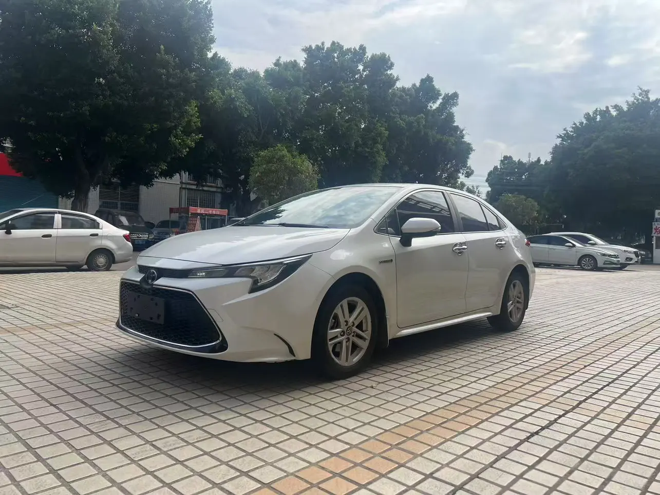 Toyota Levin