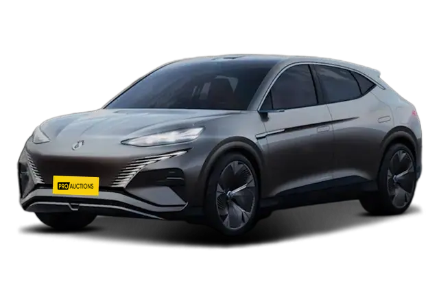 Новые автомобили Denza INCEPTION из Китая в Москву