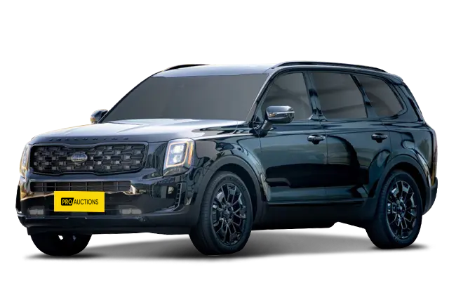 Новые автомобили Kia Telluride из Китая в Москву