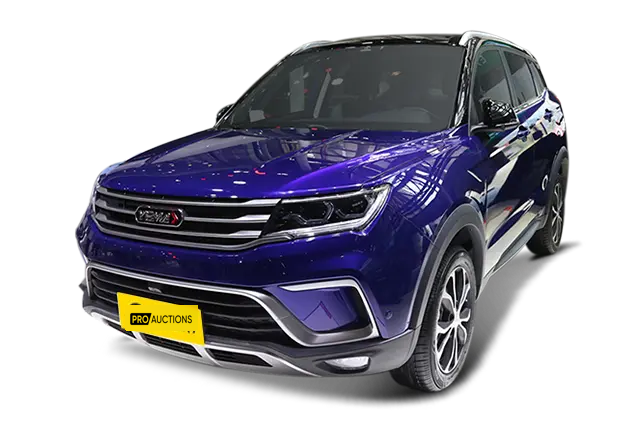 Новые автомобили Yema Mustang C60 из Китая в Москву
