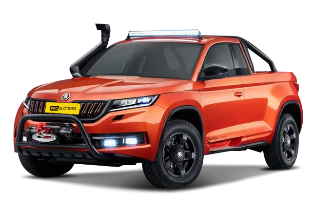 Новые автомобили Skoda Mountiaq из Китая в Москву