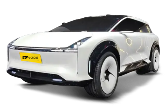 Новые автомобили Rising Auto RC ESSENCEbenzhi из Китая в Москву