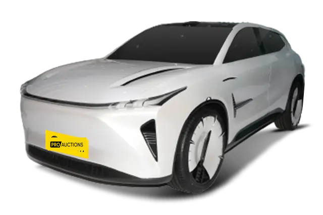 Новые автомобили Dongfeng Scenery S-007 из Китая в Москву