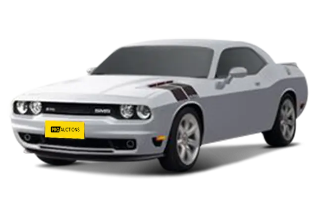 Новые автомобили Saleen Challenger из Китая в Москву