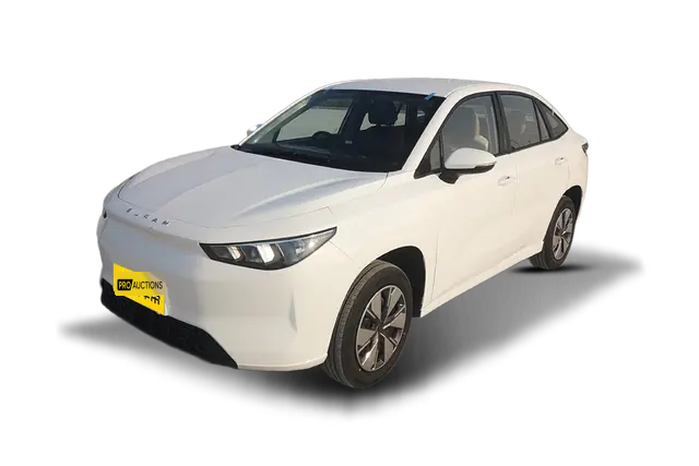 Новые автомобили Ruilan Maple Leaf 01 из Китая в Москву
