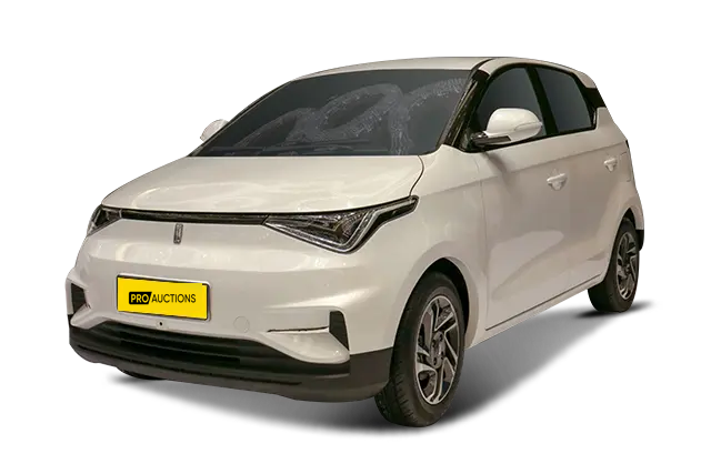 Новые автомобили Link Tour Leadtu C5 из Китая в Москву