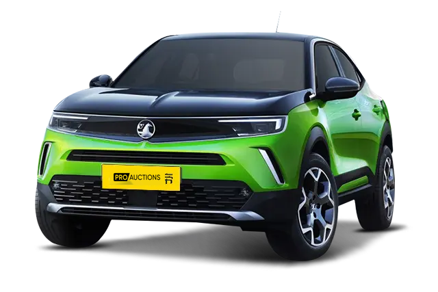 Новые автомобили Vauxhall Mokka Electric из Китая в Москву