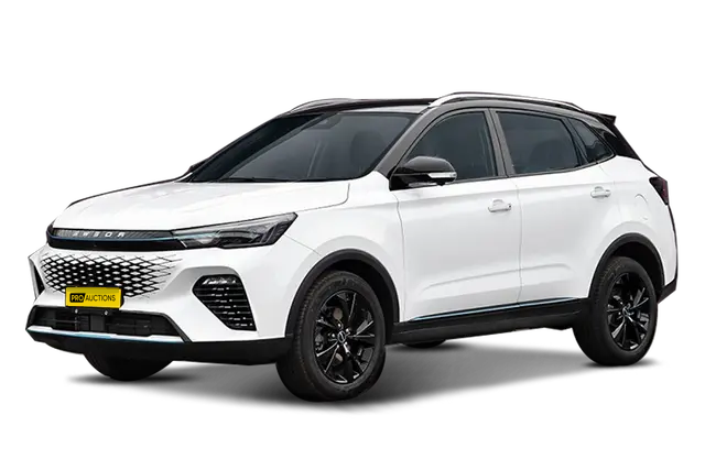 Новые автомобили Roewe Chinchilla из Китая в Москву