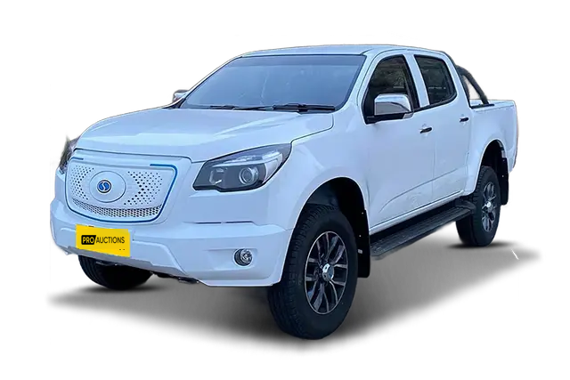 Новые автомобили Rich EF51 из Китая в Москву