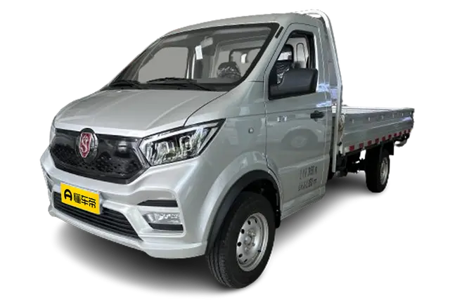 Stellar sea lion Express King EV1