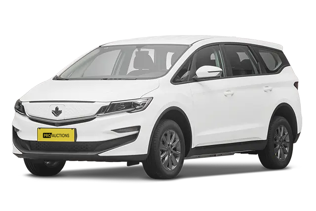 Ruilan Maple Leaf 80v