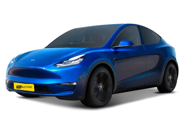 Отзывы владельцев Tesla Model Y(overseas)